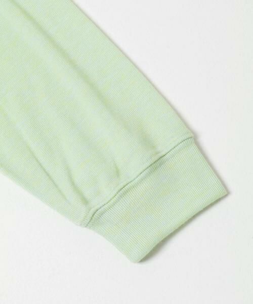 SENSE OF PLACE by URBAN RESEARCH / センスオブプレイス バイ アーバンリサーチ ポロシャツ | シアーロングスリーブポロシャツ | 詳細8