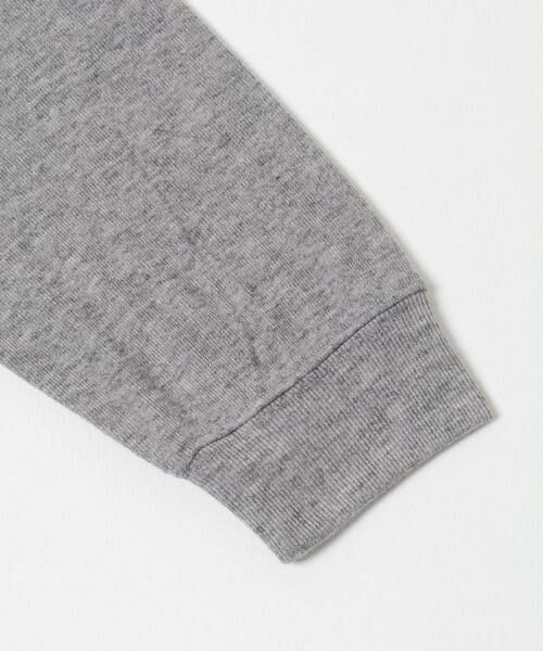 SENSE OF PLACE by URBAN RESEARCH / センスオブプレイス バイ アーバンリサーチ ポロシャツ | シアーロングスリーブポロシャツ | 詳細21