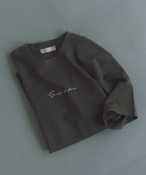 SENSE OF PLACE by URBAN RESEARCH / センスオブプレイス バイ アーバンリサーチ Tシャツ | 『一部WEB限定カラー』シシュウポンチショートスリーブTシャツ（チャコールグレー）