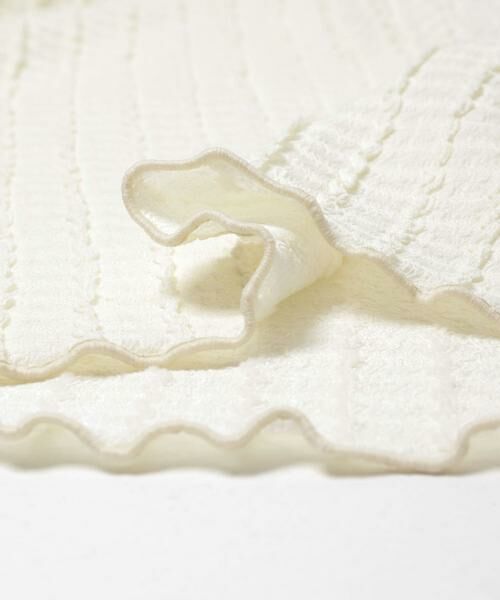 SENSE OF PLACE by URBAN RESEARCH / センスオブプレイス バイ アーバンリサーチ Tシャツ | ジャガードクロップドトップ | 詳細8