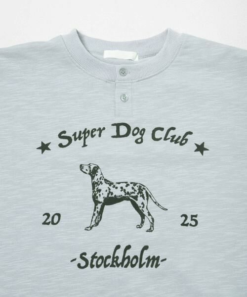 SENSE OF PLACE by URBAN RESEARCH / センスオブプレイス バイ アーバンリサーチ Tシャツ | ヴィンテージグラフィックヘンリーネックTシャツ | 詳細9