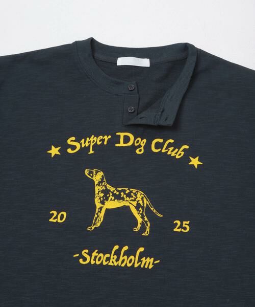 SENSE OF PLACE by URBAN RESEARCH / センスオブプレイス バイ アーバンリサーチ Tシャツ | ヴィンテージグラフィックヘンリーネックTシャツ | 詳細18