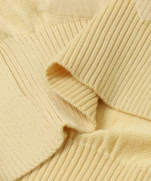 SENSE OF PLACE by URBAN RESEARCH / センスオブプレイス バイ アーバンリサーチ ベスト | 『洗濯可』チュールフリルニットベスト | 詳細24