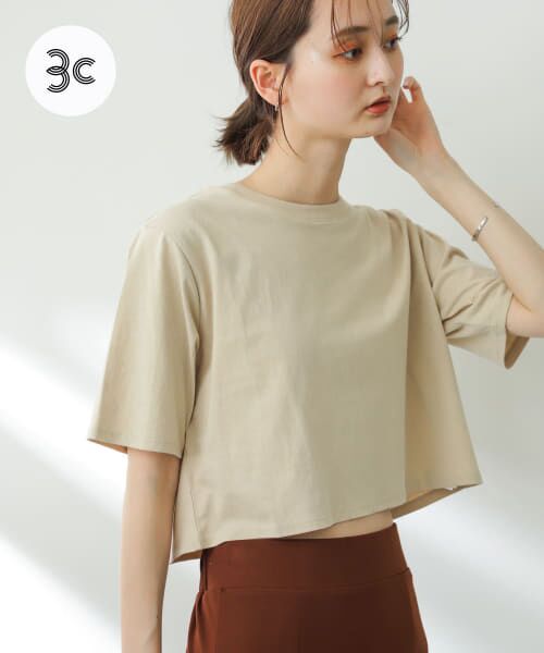 ＊＊SENSE OF PLACE by URBAN RESEARCH / センスオブプレイス バイ アーバンリサーチ Tシャツ | USAコットンクロップドTシャツ(半袖)（BEIGE）