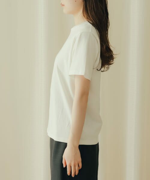 セール】 コットンクルーネックTシャツ(半袖) （Tシャツ