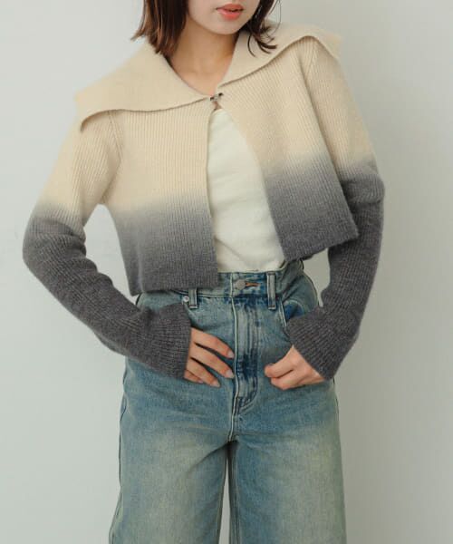 ＊＊SENSE OF PLACE by URBAN RESEARCH / センスオブプレイス バイ アーバンリサーチ ニット・セーター | グラデーションクロップドセーター（CHARCOAL）