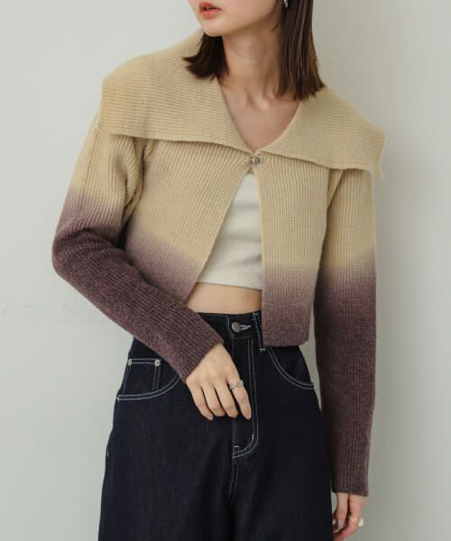 ＊＊SENSE OF PLACE by URBAN RESEARCH / センスオブプレイス バイ アーバンリサーチ ニット・セーター | グラデーションクロップドセーター（BROWN）
