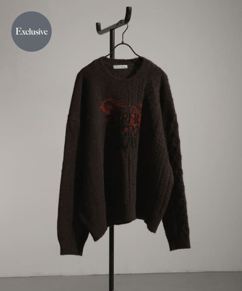 ＊＊SENSE OF PLACE by URBAN RESEARCH / センスオブプレイス バイ アーバンリサーチ ニット・セーター | 『別注』SHUHEI KOKI×SENSE OF PLACE　プリントニット（D.BROWN）