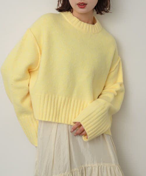 ＊＊SENSE OF PLACE by URBAN RESEARCH / センスオブプレイス バイ アーバンリサーチ ニット・セーター | ワイドリブクルーネックセーター（YELLOW）