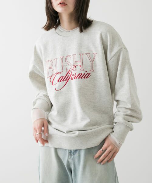 ＊＊SENSE OF PLACE by URBAN RESEARCH / センスオブプレイス バイ アーバンリサーチ スウェット | シシュウグラフィックルーズスウェット（GRAPHIC-C）