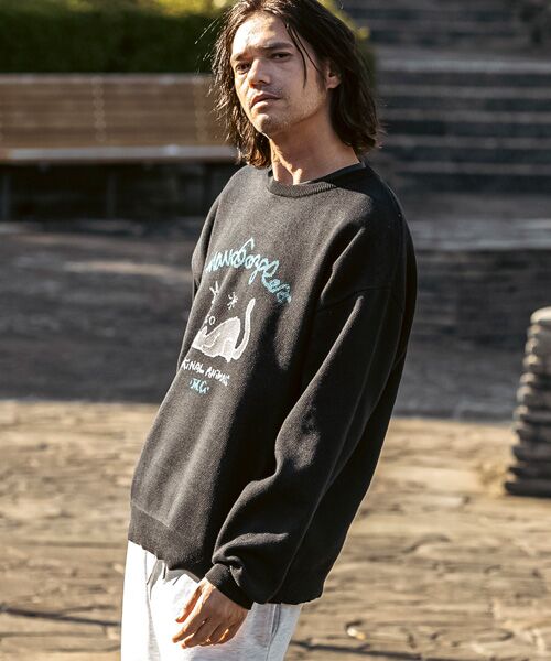 SHIFFON / シフォン ニット・セーター | フロントジャガードクルーネックニット | 詳細1