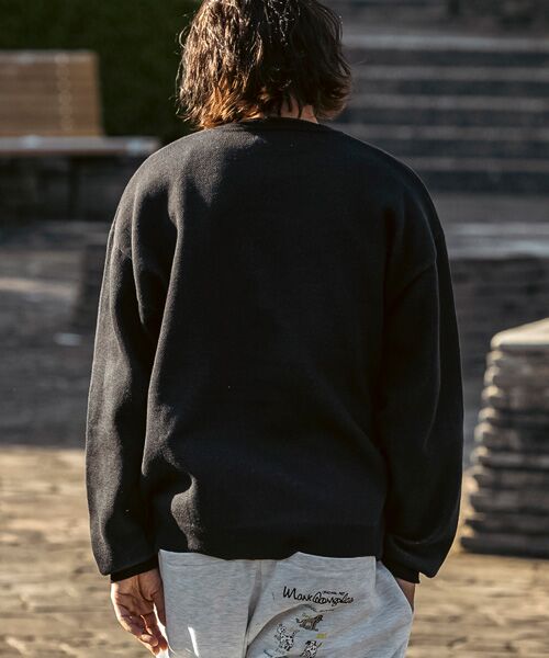 SHIFFON / シフォン ニット・セーター | フロントジャガードクルーネックニット | 詳細2