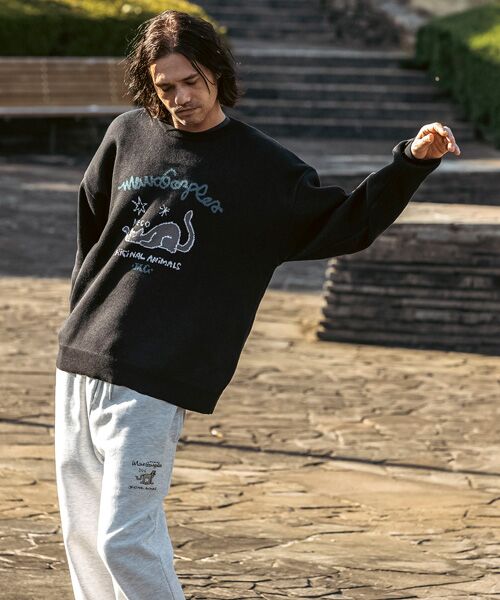 SHIFFON / シフォン ニット・セーター | フロントジャガードクルーネックニット | 詳細4