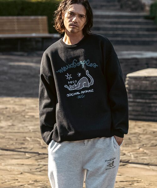 SHIFFON / シフォン ニット・セーター | フロントジャガードクルーネックニット | 詳細5