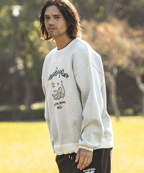 SHIFFON / シフォン ニット・セーター | フロントジャガードクルーネックニット | 詳細6