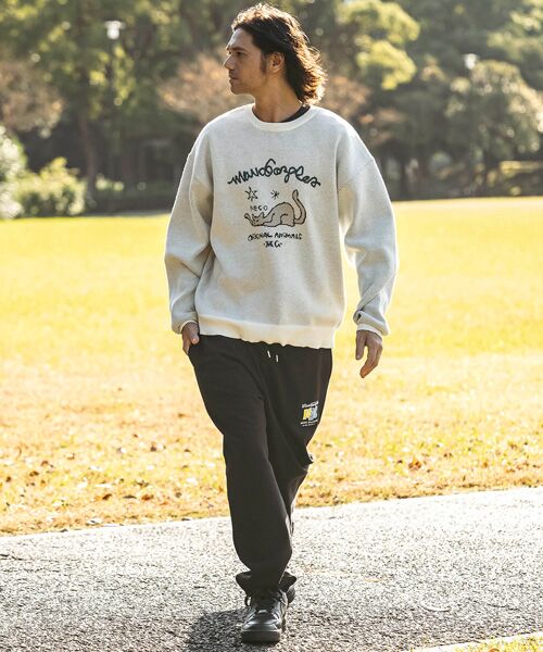 SHIFFON / シフォン ニット・セーター | フロントジャガードクルーネックニット | 詳細10