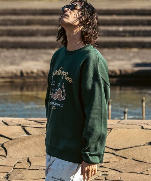 SHIFFON / シフォン ニット・セーター | フロントジャガードクルーネックニット | 詳細11