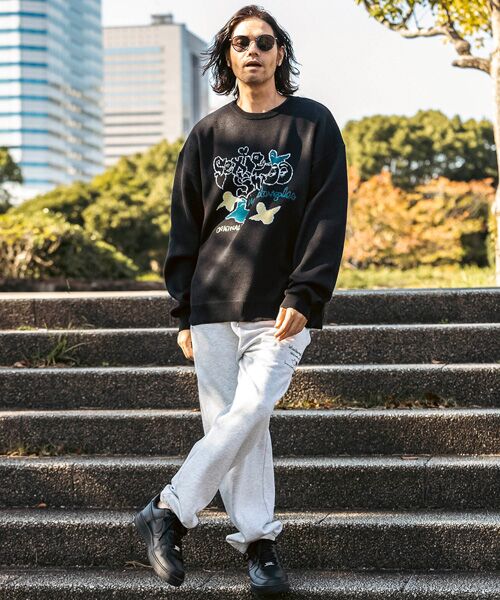 SHIFFON / シフォン ニット・セーター | フロントジャガードクルーネックニット | 詳細25