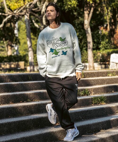 SHIFFON / シフォン ニット・セーター | フロントジャガードクルーネックニット | 詳細29