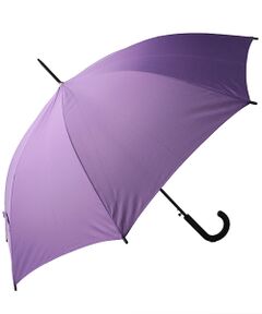 SHIPS / シップス 傘 | DERBY:無地傘