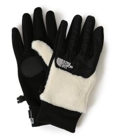 SHIPS / シップス 手袋 | THE NORTH FACE:デナリイーチップグローブ