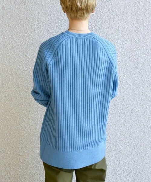SHIPS / シップス ニット・セーター | SHIPS any: ワイドリブ ウール ラグランスリーブ プルオーバー | 詳細21