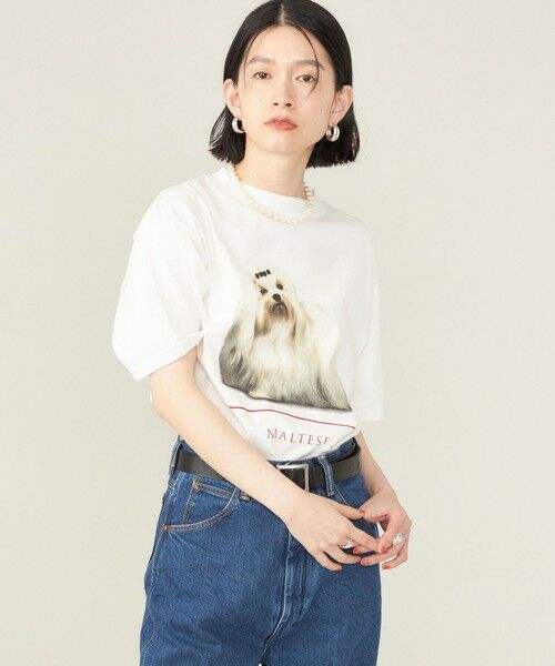 SHIPS for women / シップスウィメン Tシャツ | SHIPS NINE CASE:〈洗濯機可能〉MALTESE TEE◇ | 詳細12