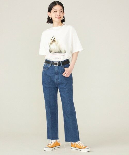 SHIPS for women / シップスウィメン Tシャツ | SHIPS NINE CASE:〈洗濯機可能〉MALTESE TEE◇ | 詳細15