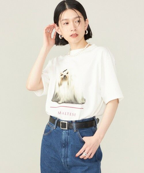 SHIPS for women / シップスウィメン Tシャツ | SHIPS NINE CASE:〈洗濯機可能〉MALTESE TEE◇ | 詳細7