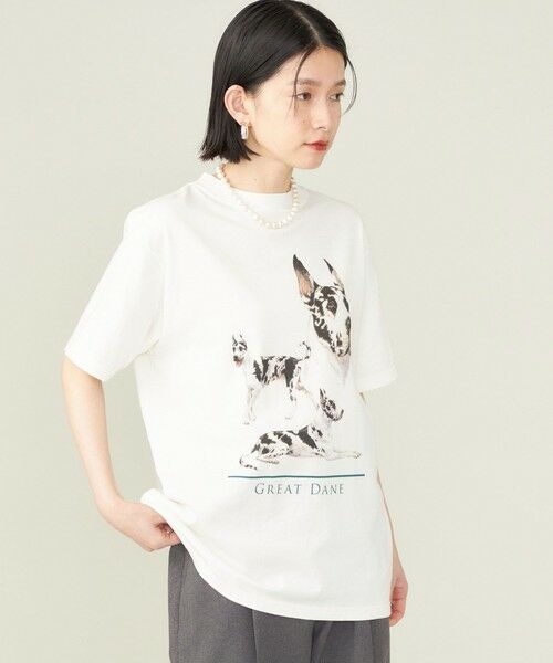 SHIPS for women / シップスウィメン Tシャツ | SHIPS NINE CASE:〈洗濯機可能〉GREAT DANE TEE ◇ | 詳細12