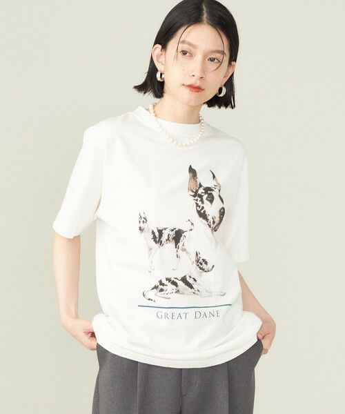 SHIPS for women / シップスウィメン Tシャツ | SHIPS NINE CASE:〈洗濯機可能〉GREAT DANE TEE ◇ | 詳細13