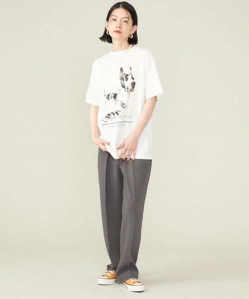 SHIPS for women / シップスウィメン Tシャツ | SHIPS NINE CASE:〈洗濯機可能〉GREAT DANE TEE ◇ | 詳細14