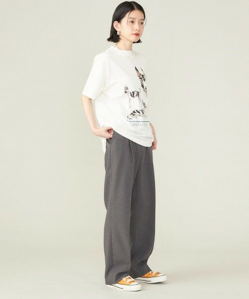 SHIPS for women / シップスウィメン Tシャツ | SHIPS NINE CASE:〈洗濯機可能〉GREAT DANE TEE ◇ | 詳細18