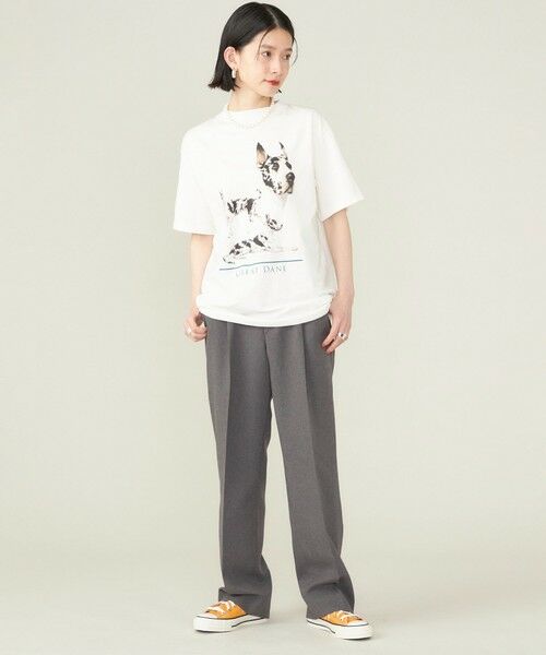 SHIPS for women / シップスウィメン Tシャツ | SHIPS NINE CASE:〈洗濯機可能〉GREAT DANE TEE ◇ | 詳細19