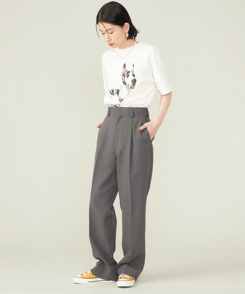 SHIPS for women / シップスウィメン Tシャツ | SHIPS NINE CASE:〈洗濯機可能〉GREAT DANE TEE ◇ | 詳細21