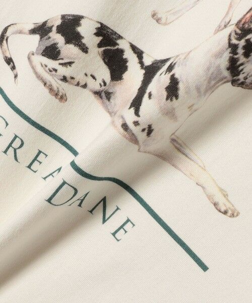 SHIPS for women / シップスウィメン Tシャツ | SHIPS NINE CASE:〈洗濯機可能〉GREAT DANE TEE ◇ | 詳細6