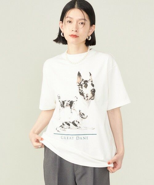 SHIPS for women / シップスウィメン Tシャツ | SHIPS NINE CASE:〈洗濯機可能〉GREAT DANE TEE ◇ | 詳細7