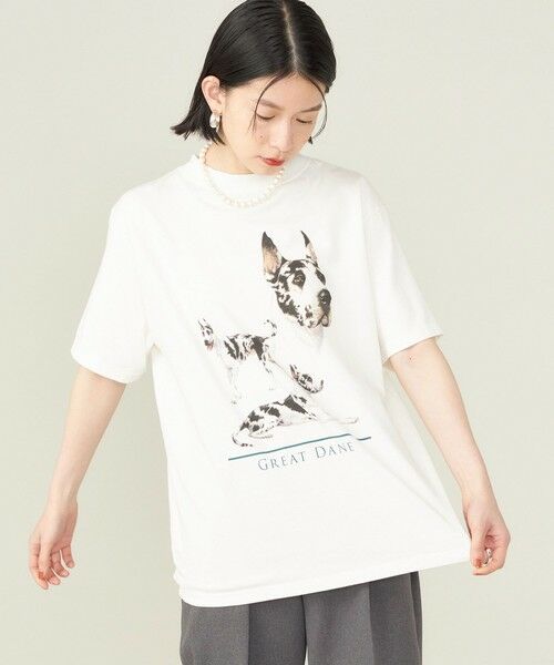 SHIPS for women / シップスウィメン Tシャツ | SHIPS NINE CASE:〈洗濯機可能〉GREAT DANE TEE ◇ | 詳細8