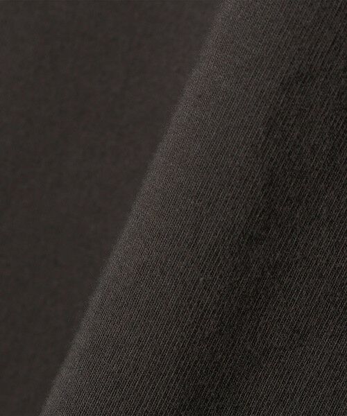 SHIPS / シップス Tシャツ | 《一部追加予約》【WEB限定】SHIPS any:〈洗濯機可能〉インレイ ハーフスリーブ ショートTEE | 詳細21