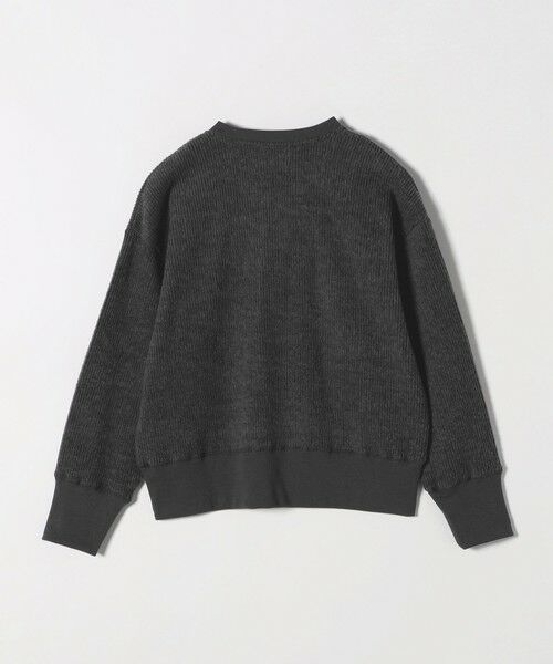 SHIPS / シップス カットソー | SHIPS any:〈手洗い可能〉起毛 ワッフル ヘンリーネック コンパクト プルオーバー | 詳細25