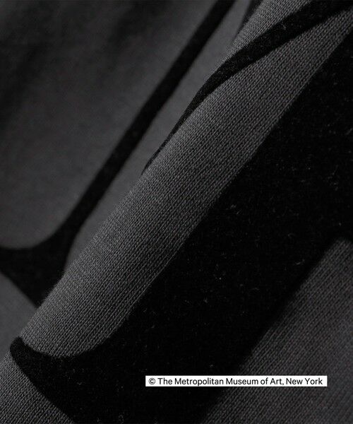 SHIPS / シップス Tシャツ | SHIPS Colors: THE MET コラボ フロッキー ロゴT 2 | 詳細2