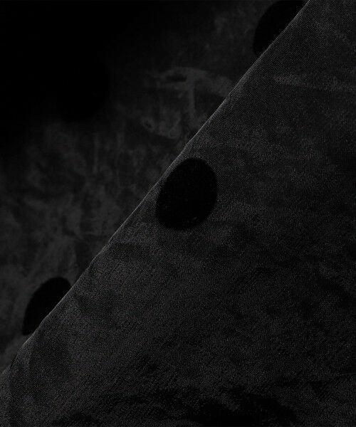 SHIPS / シップス その他パンツ | SHIPS Colors:オーガンジー ドット パンツ | 詳細2