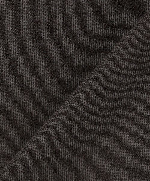 SHIPS / シップス Tシャツ | 【SHIPS any別注】Healthknit:〈洗濯機可能〉エンブロイダリー クロップド TEE | 詳細26