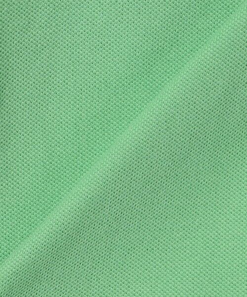 SHIPS / シップス Tシャツ | 【SHIPS any別注】LACOSTE:〈洗濯機可能〉PIQUE クルーネック Tシャツ 25SS | 詳細19