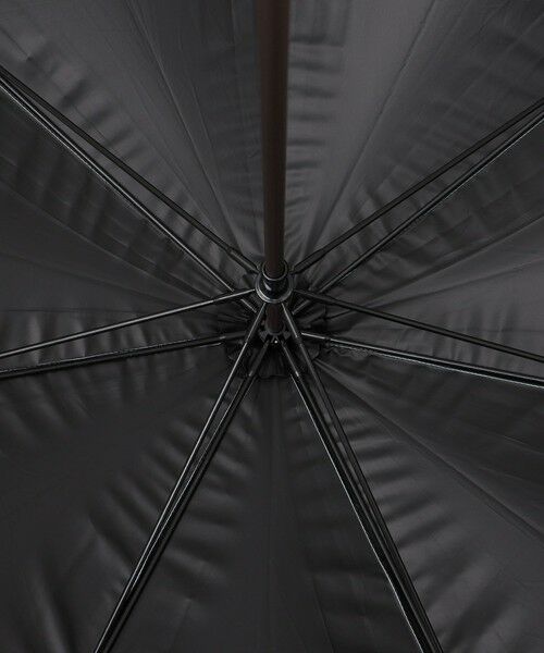 SHIPS / シップス 傘 | a.s.s.a:ストライプ 傘 (晴雨兼用・親骨55cm)◇ | 詳細3
