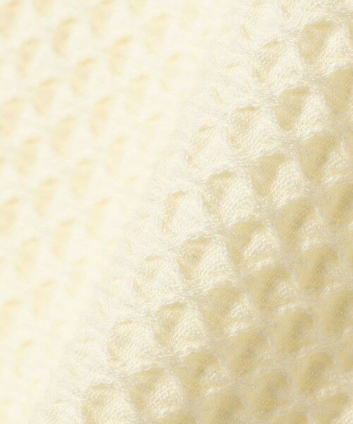 SHIPS / シップス ポロシャツ | 小泉里子コラボ:シャーリング ジャカード ポロ | 詳細17