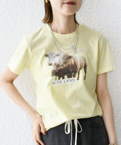 SHIPS / シップス Tシャツ | 【SHIPS別注】ACASAM: フォト TEE