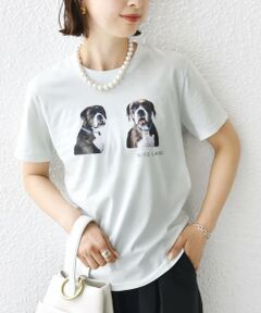 SHIPS / シップス Tシャツ | 【SHIPS別注】ACASAM: フォト TEE