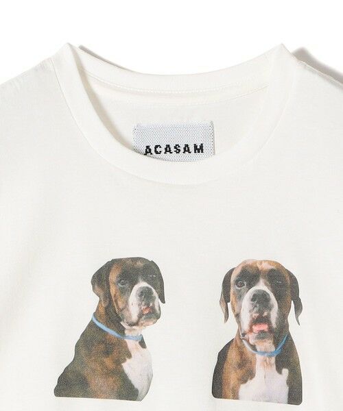 SHIPS / シップス Tシャツ | 【SHIPS別注】ACASAM: フォト TEE | 詳細12