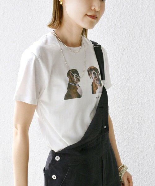 SHIPS / シップス Tシャツ | 【SHIPS別注】ACASAM: フォト TEE | 詳細7